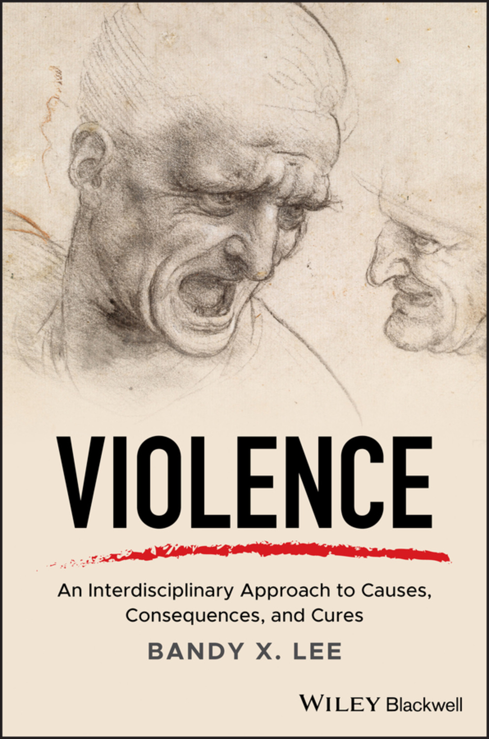 Bandy X. Lee, Violence / An Interdisciplinary Approach to Causes, Consequences, and Cures read